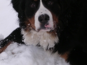 Avatar de l’utilisateur